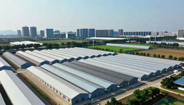 定制家具选型中的常见问题及应对策略
